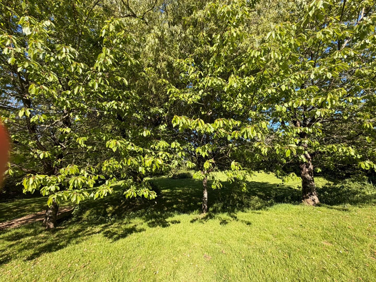 Approximately 0.934 acres of land to the rear of, The Court Corntown, Bridgend, Bridgend County Borough CF35 5BJ